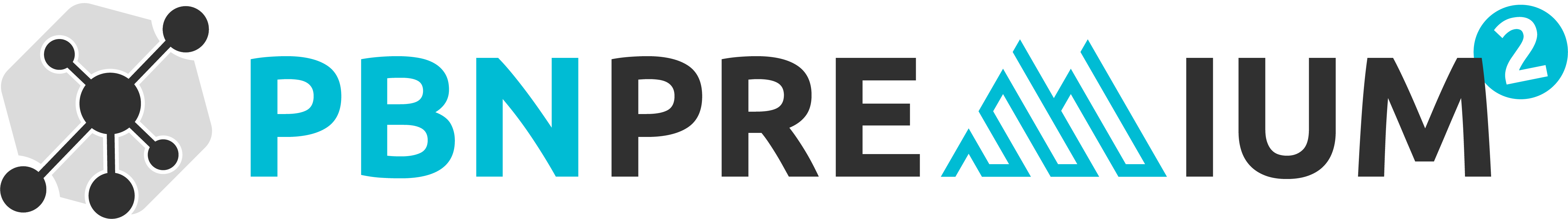 PBN Premium vente de nom de domaine 