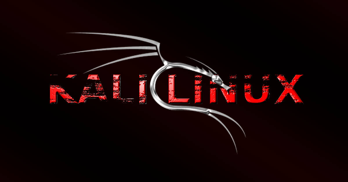 kali-linux rush damage agence web au pays basque