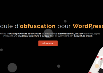 optimiser mallaige interne wordpress